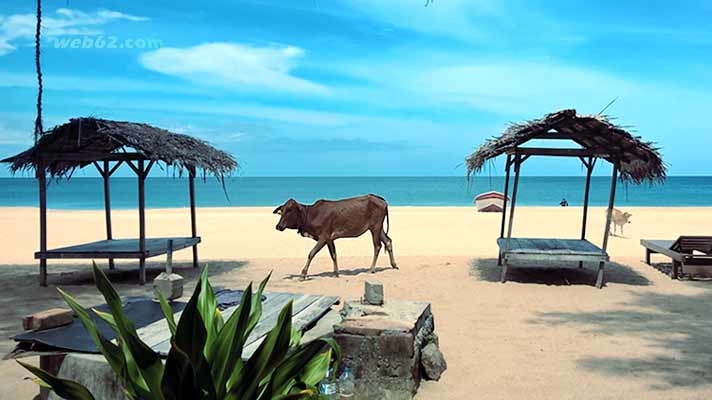 Photo from Trincomalee Beach Trincomalee Beach