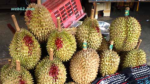 Durian photo
