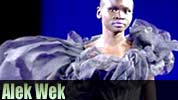 Chinesisches Horoskop Schlange Alek Wek