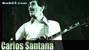 Chinesisches Horoskop Schwein Carlos Santana