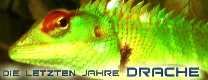 Chinesisches Horoskop Sternzeichen Drache Blog