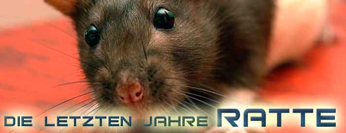 Chinesisches Horoskop Sternzeichen Ratte