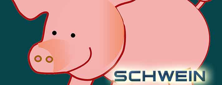 Chinesisches Horoskop Sternzeichen Schwein