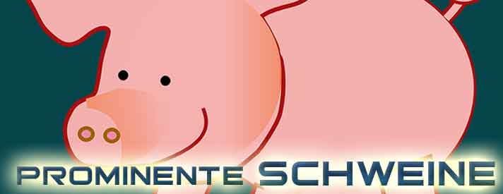 Chinesisches Horoskop Sternzeichen Schwein