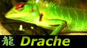 Chinesisches Horoskop Drache