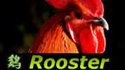 Chinese Horoscope Rooster Gibran Hamden