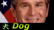 Chinese Horoscope Dog George W. Bush