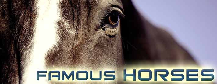 Chinese Horocope symbol Horse