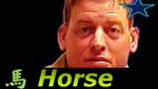 Chinese Horoscope Troy Aikman Horse