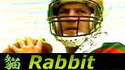 Chinese Horoscope Rabbit Jake Delhomme