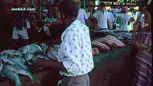 Fish Markt Seychelles