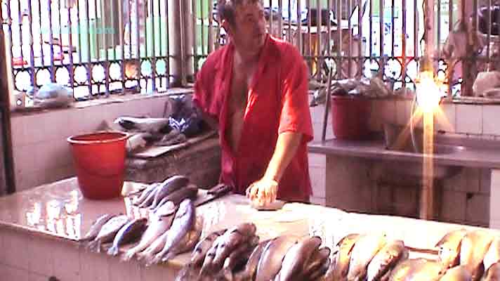 Manaus Fleisch und Fisch Markt