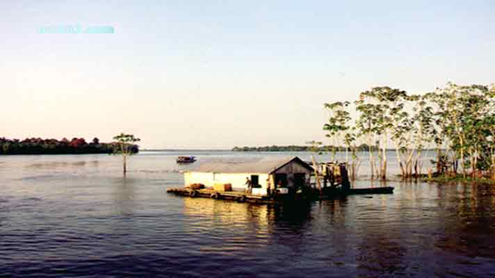 Rio Negro River Shop