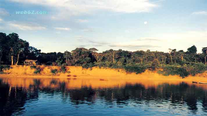 Rio Negro river banks