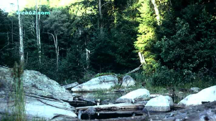 Algonquin Park Ontario