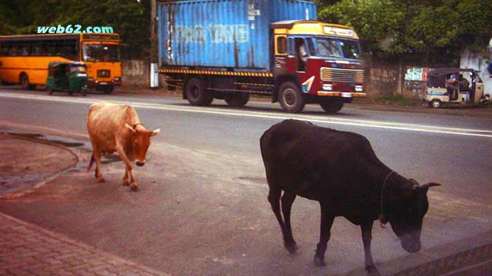 Verkehr in Colombo