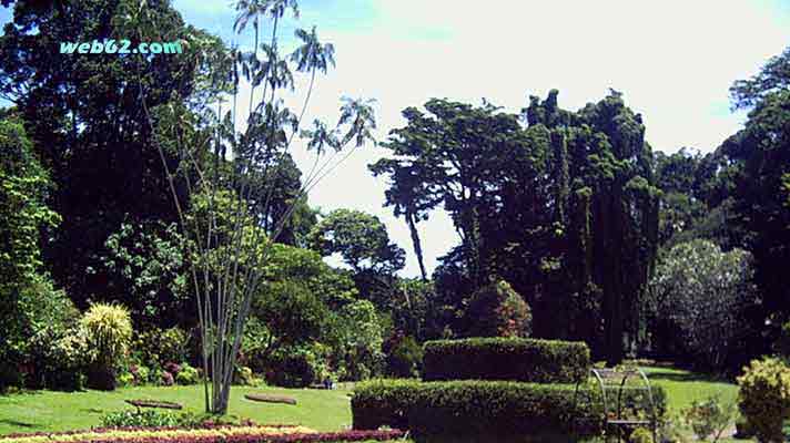 Botanische Garten in Kandy