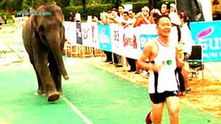 Phuket Marathon in Thailand