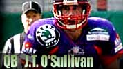 photo 49ers qb J.T. O'Sullivan