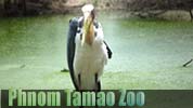 Phnom Tamao Zoo Cambodia