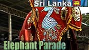 Elefanten Parade