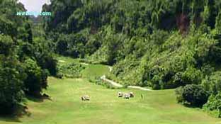 Red Mountain Golf Club Red Mountain Golf Club in Phuket, Thailand