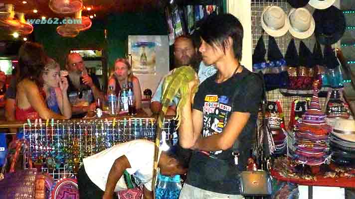 Drugged Iguana on Bangla Road in Patong