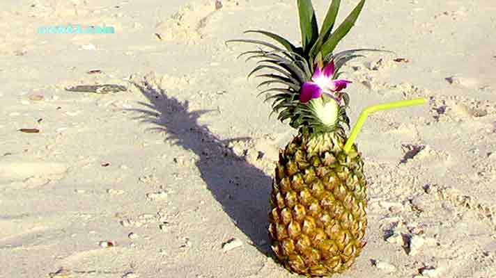 Pina Colada Khai Islands, Phuket, Thailand