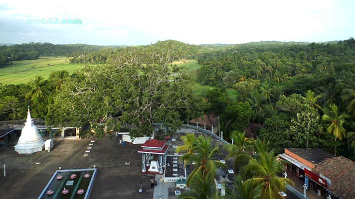 Matara Weherahena Temple Buddha Statue