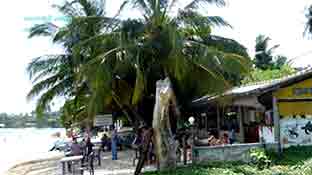 Unawatuna La Tartaruga restaurant