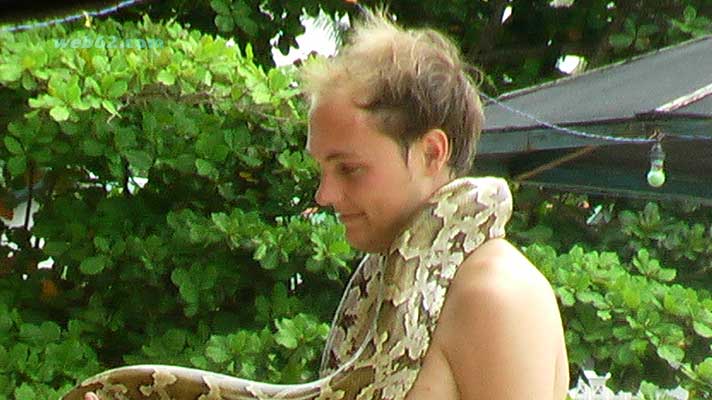 Unawatuna python snake